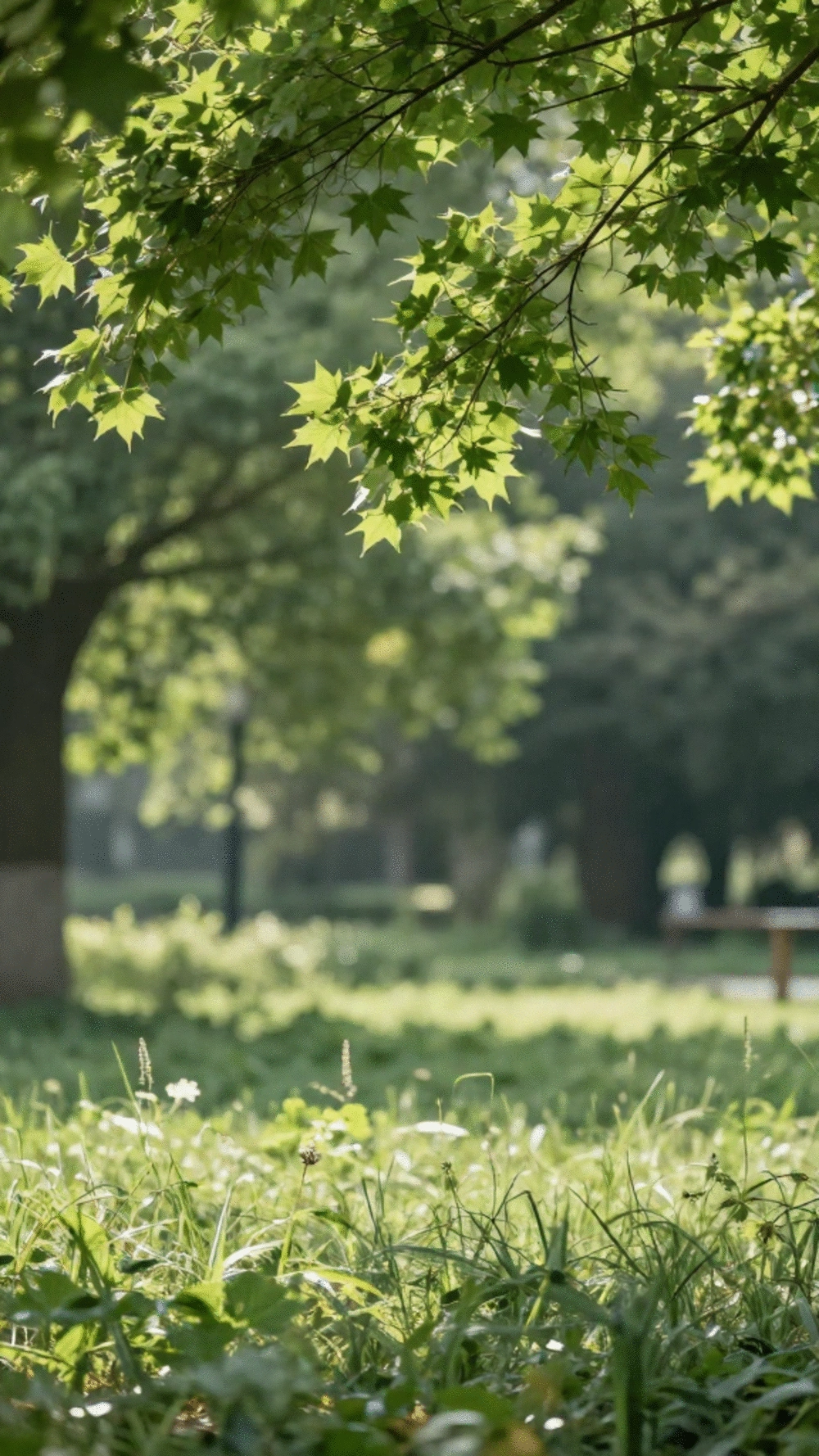 Breathing Techniques for Beginners: 3 Essential Techniques to Master